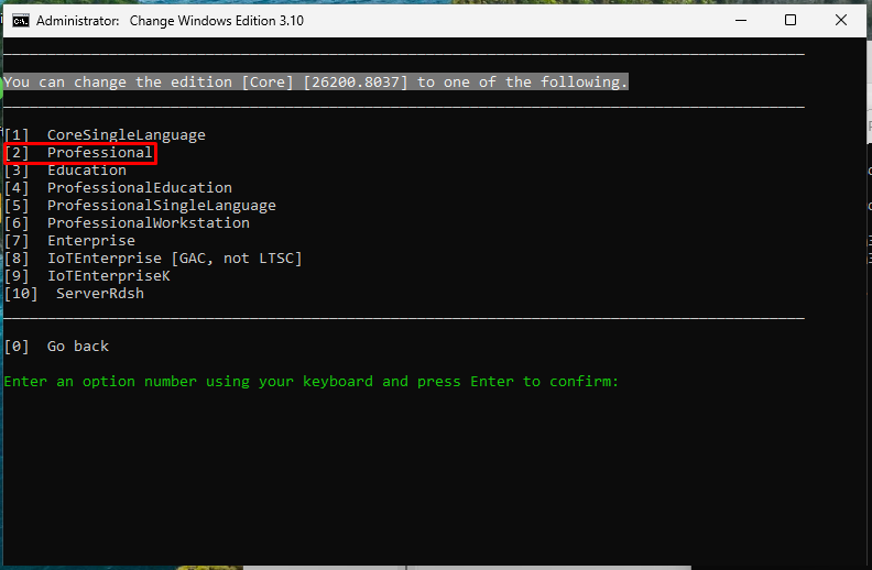 Edition selection showing Professional highlighted
